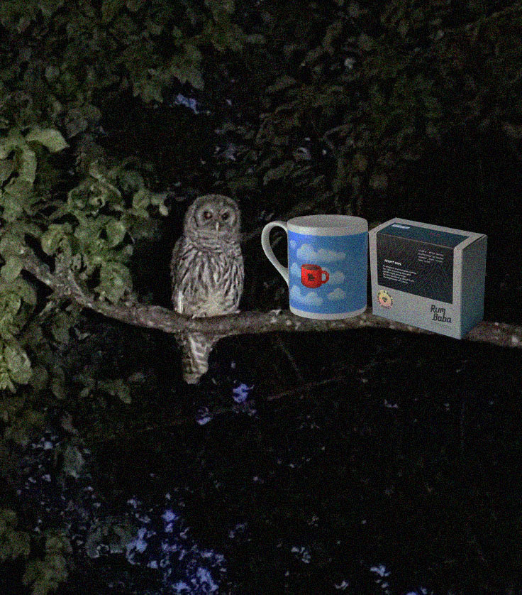 Colombia Night Owl - Decaf