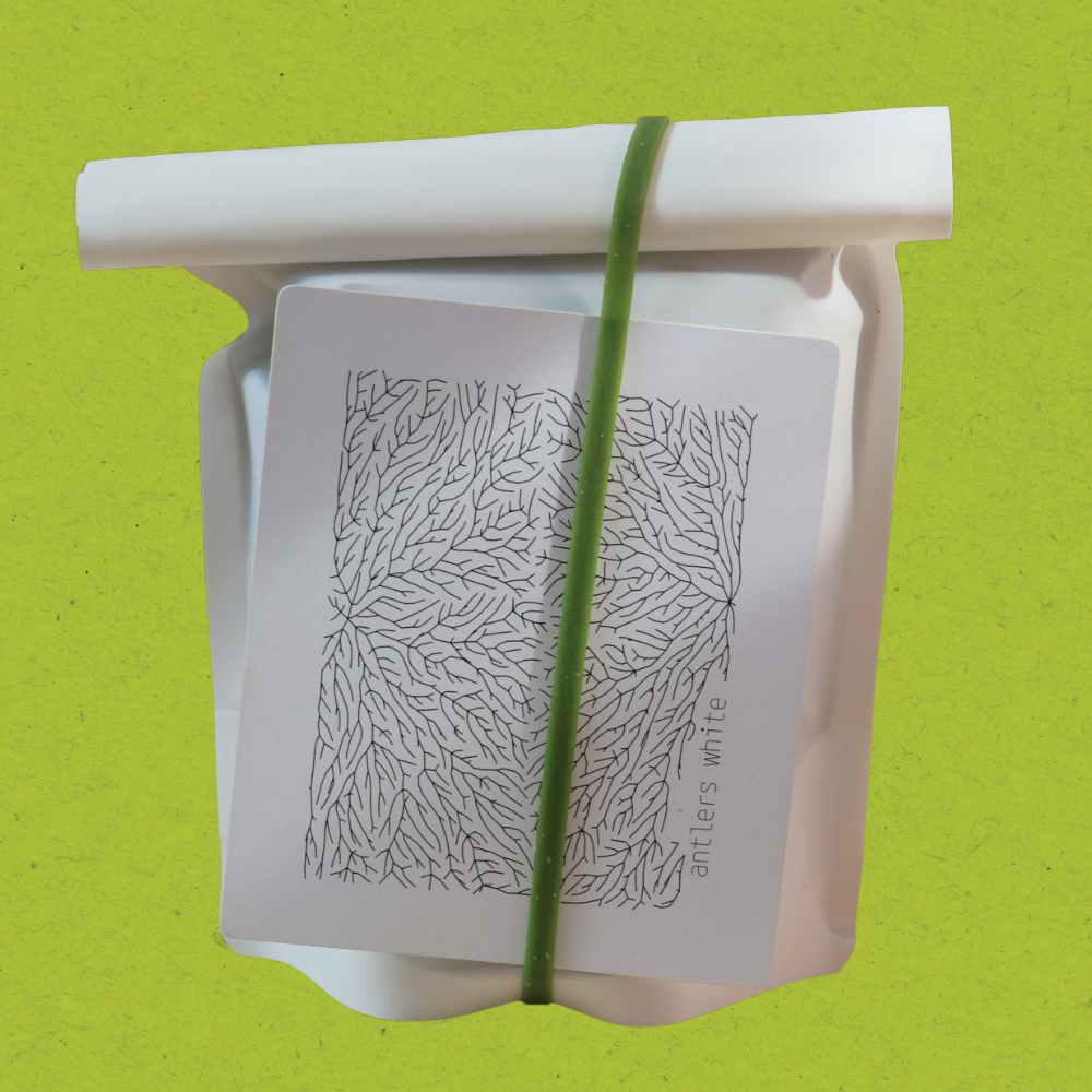 Antlers White tea - 40 gr