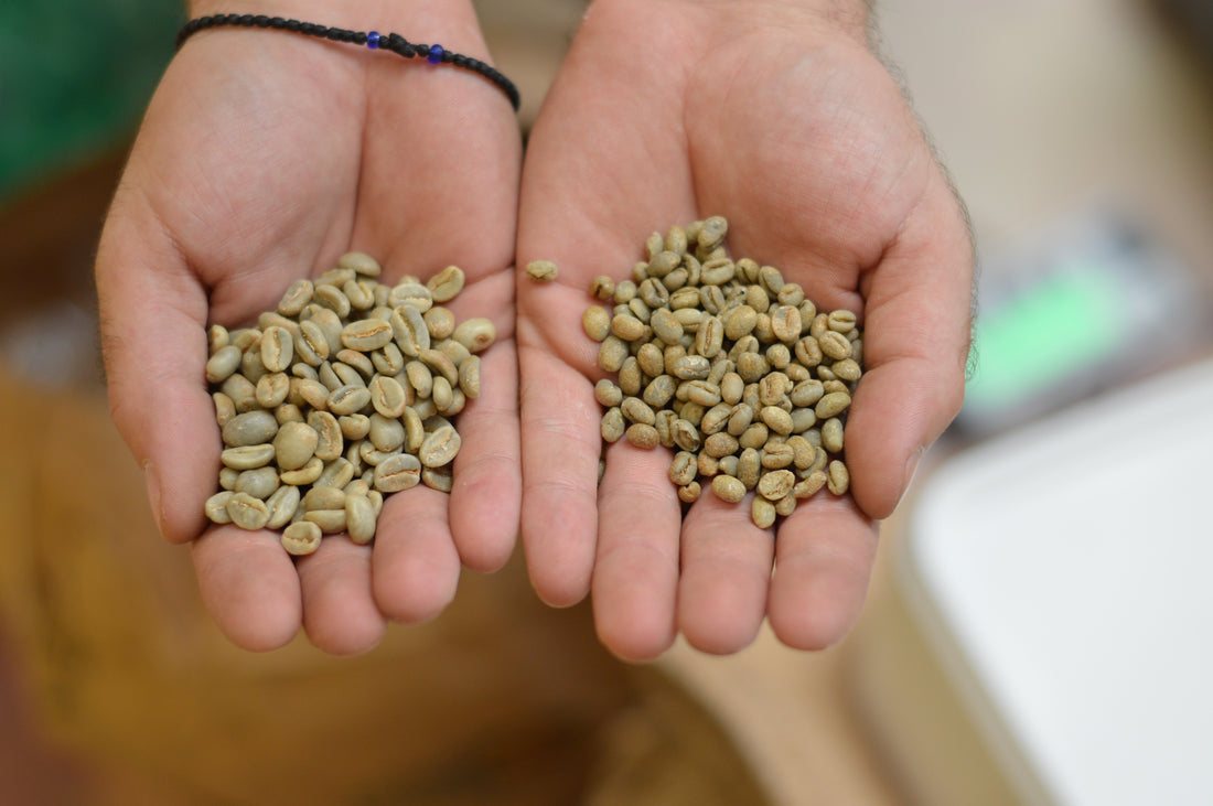 Price increases in the coffee market.