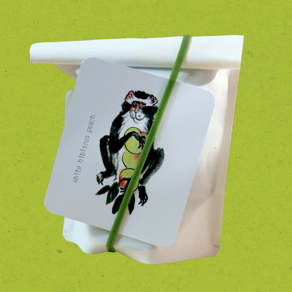 White Hibiscus Peach - 50 gr