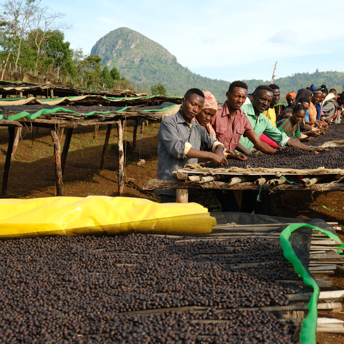 Ethiopia Okoluu