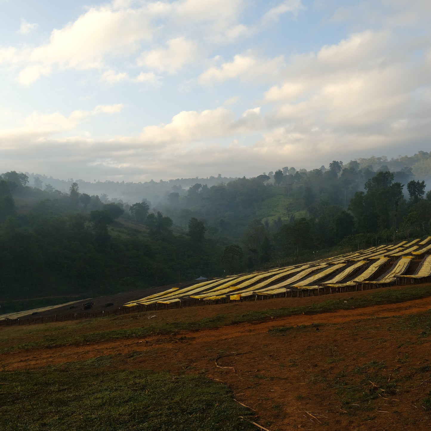 Ethiopia Okoluu